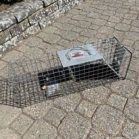Rectangular wire mesh live animal trap set on outdoor pavement surface.