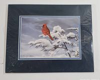 Front view of the art print showing the cardinal bird on snowy branch with dark blue matte and protective plastic covering.