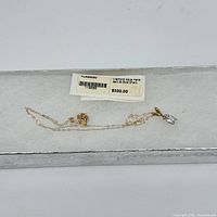 Chain and pendant laid flat on white background with original price label