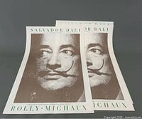 Two rolled Salvador Dali posters showing close-up of Dali's face and distinctive mustache with text 'SALVADOR DALI' and 'ROLLY-MICHAUX' below