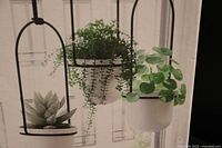 Close-up image of the three white bowl-shaped hanging planters suspended from a black horizontal rod, each planter encased in a black metal frame with a curved top. Some plants are visible in the planters to illustrate use.