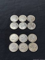 Top view of all 12 quarters showing the caribou design on one side.