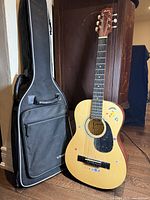 Full view of Montana guitar standing next to its black padded carrying case, showing front of guitar with stickers and body details.