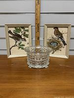 Photo of two framed vintage cross stitch bird decor pieces and a pressed glass plant sleeve, showing scale with a ruler behind.