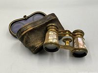 Binoculars and case on white surface showing full lot contents