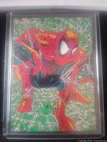 Close-up of Spider-Man collectible card with green and silver webbing background in plastic holder.