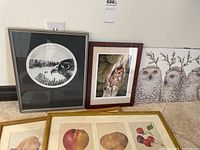 Four framed artworks displayed against a wall, including bird prints and fruit/vegetable prints.