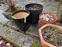 Five planter pots outdoors on stone surface with some moss. Includes terra-cotta, ceramic, resin, and cement pots.