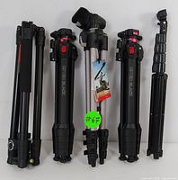 Front view of all 5 tripods in folded position showing brands, leg types, and locking mechanisms