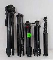 Five tripods folded and standing upright, showing compact designs and leg locks.