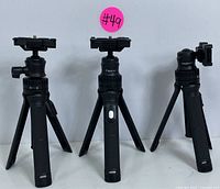 Front view of three Mobifoto tripods showing their adjustable legs and mount heads with Bluetooth remote buttons on bodies.