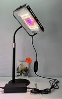 Front view of the LED grow light mounted on black adjustable gooseneck stand with remote control and power adapter visible, model emitting red, blue, and white light.