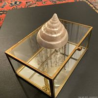 Angle view from top sideways of the glass box with pearlized spiral shell on black surface showing reflection and shell detail.
