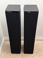 Front view of both speakers showing full height and fabric grilles