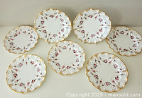 Overhead view of all seven luncheon plates arranged on table