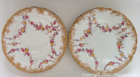 Top view of both Royal Crown Derby plates showing pattern and size