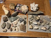 Wide shot of rock and mineral specimens arranged on two mats including petrified wood blocks, porous rocks, smooth stones, and fossil fragments.
