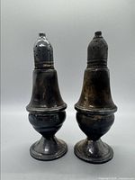 Front view of the pair of weighted sterling silver salt and pepper shakers showing their shape and condition.