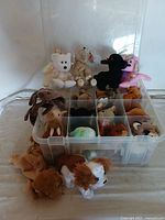 Front view showing assortment of Beanie Babies in a clear plastic storage case with compartments along with some loose plush toys in front.