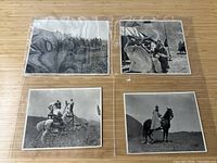 Overview of all four prints in protective sleeves on wood surface