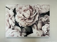 Full front view of large horizontal floral print featuring peonies with white frame against wall.