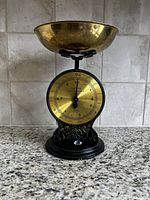 Front view of vintage Salter Family food scale showing brass dial and bowl, ornate black base.