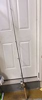 Full length image of Trophy Pro Elite Series fishing rod with cork handle, leaning against a door.