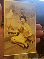 Hand holding a color postcard of Elizabeth II sitting outdoors with two corgi dogs