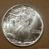 Obverse side of the coin showing Lady Liberty walking with the sun rising and date 1988.