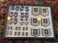 Photo of a Riker display case containing JROTC metal rank insignias and shoulder patches with blue and gold metal chevrons and black embroidered patches with a torch emblem