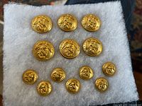 Close-up of 12 brass US Marines buttons arranged on white foam padding showing detailed Marine emblem.