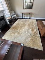 View of the wool area rug in a living room setting, showing full spread and contextual furniture