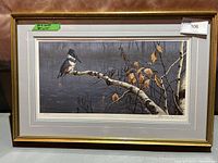 Framed print showing belted kingfisher on birch branch in rain with visible frame and matting.