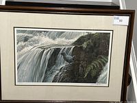 Front view of the framed print showing overall condition and frame