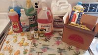 Wide view of assorted bottles and jugs of automotive and cleaning chemicals on table