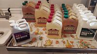 Overview photo of bulk chemical containers arranged on a table, showing multiple Woodfinisher's Pride paint and varnish stripper gallons, a gel rust remover container, and grease & tar cutter bottles.