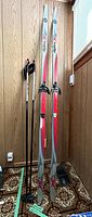 Pair of silver Alpine XC Light Touring cross country skis standing upright against a wood-paneled wall with ski poles beside them.