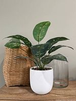 Faux plant in white pot beside wicker holder and glass vase