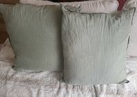 Two sage green pillows on white background showing colour and size