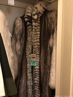 Front view of long raccoon and black fox fur coat hanging