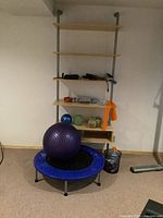 Full view of trampoline with purple textured exercise ball on top, dumbbells, resistance bands, and water jug near wooden shelving.