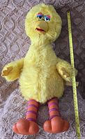 Full view of the large yellow Big Bird plush toy lying on a carpet with a measuring tape showing height.