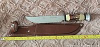 Full view of fixed blade knife with leather sheath and measuring tape showing blade of about 10 inches