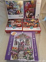 Overview of all five 750-piece puzzles, showing themes including cats, hot air balloons, and a shaped puzzle of a gazebo with flowers.