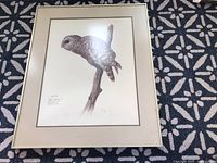 Framed print showing detailed image of an owl perched on a branch. Frame and matting visible with slight discoloration.