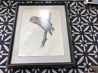 Framed owl print on floor showing overall condition including frame and mat