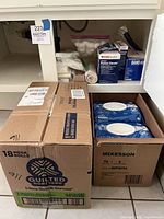 Photo showing case of Quilted Northern 18 mega rolls of Ultra Soft & Strong toilet paper and open case of McKesson wipes underneath sink.