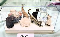 Photo showing eight cat figurines arranged on a white base inside a clear display cover, depicting the variety of colors and materials including gold metal, ceramic, black, cream, and iridescent finishes.