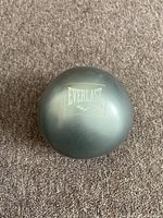 Top-down view of the Everlast fitness weight ball showing the Everlast logo in white on a dark gray surface.