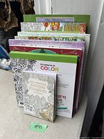 Photo showing multiple adult coloring books stacked upright against a wall, including Millie Marotta's Animal Kingdom book at the front and others behind it.